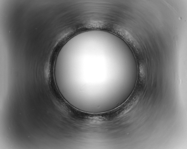 X0000093600396200710151224