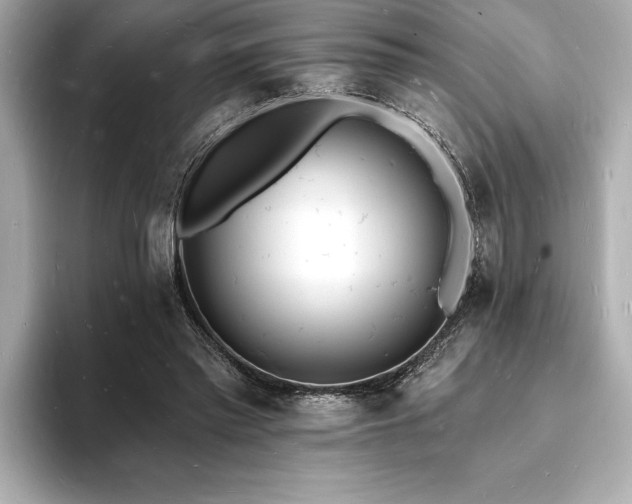 X0000093600397200710151224
