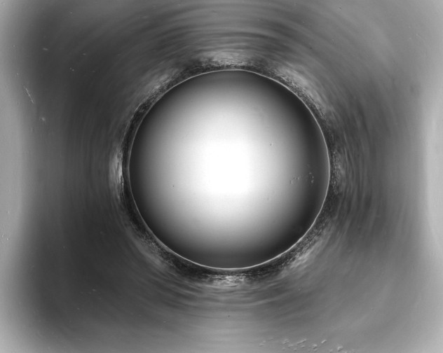 X0000093600398200710151224