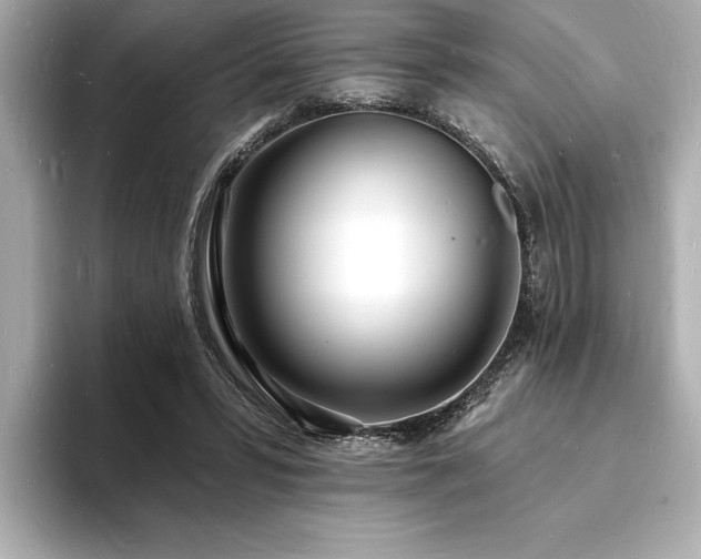 X0000093600399200710151224