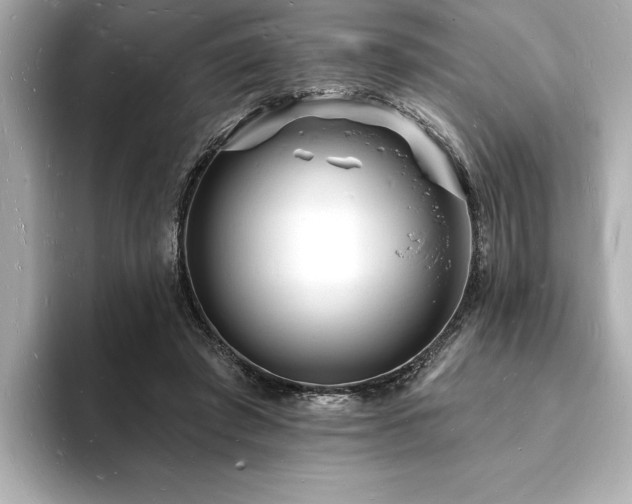 X0000093600401200710151224