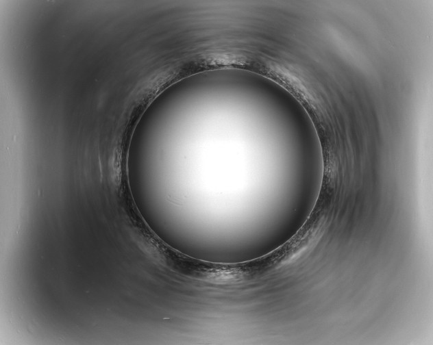 X0000093600402200710151224