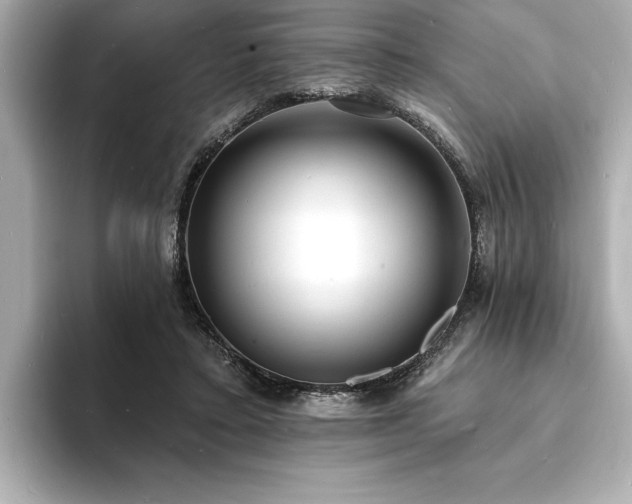 X0000093600403200710151224