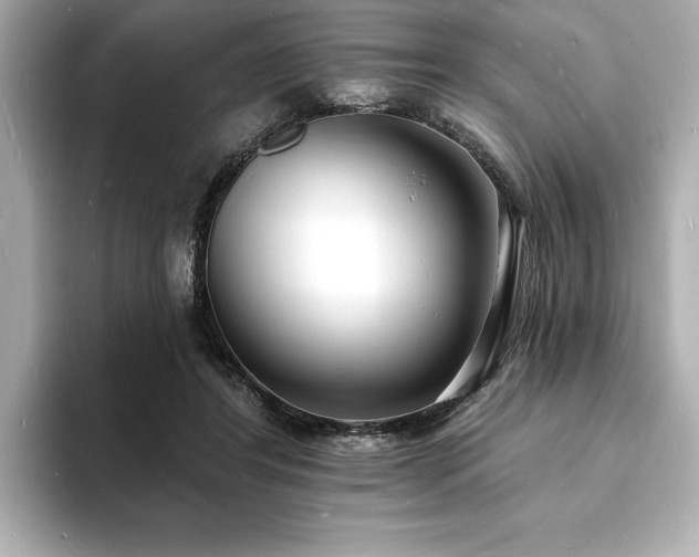 X0000093600404200710151224