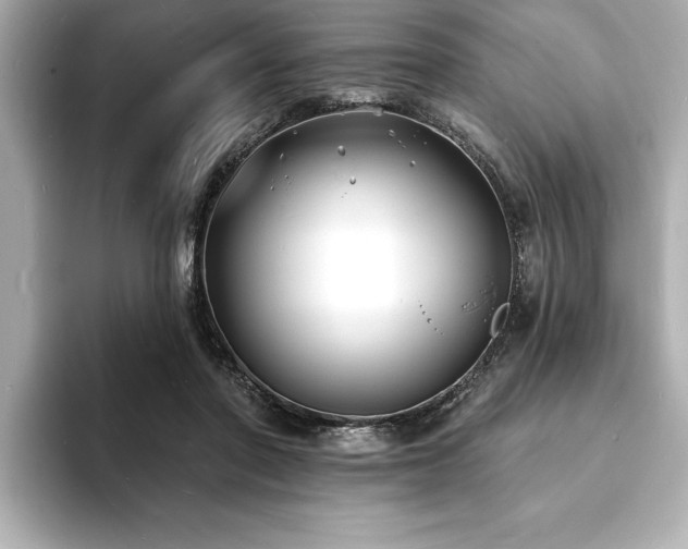 X0000093600406200710151224