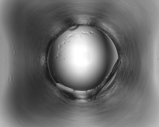 X0000093600407200710151224