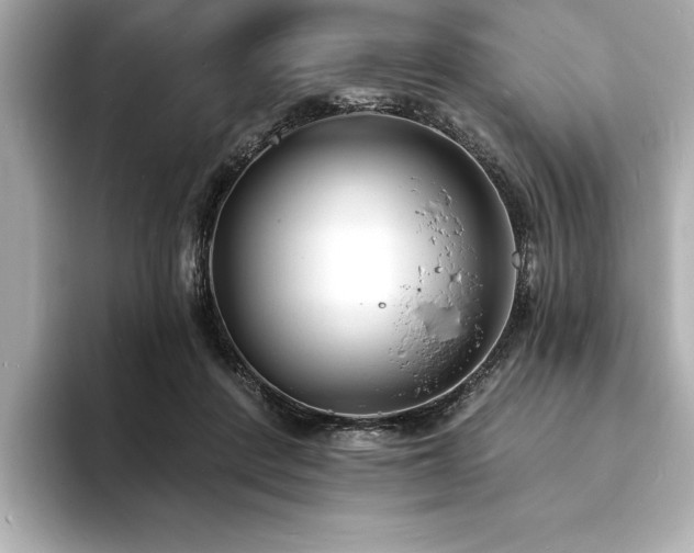 X0000093600408200710151224