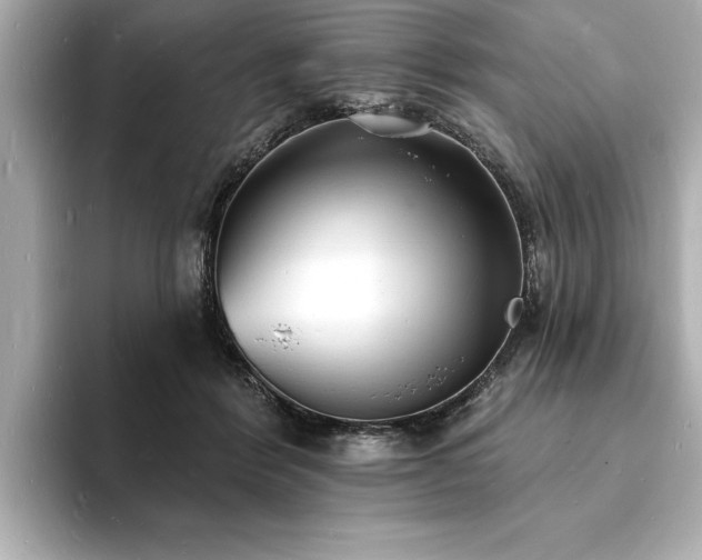 X0000093600412200710151224