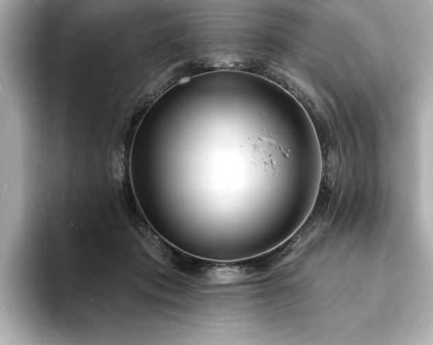 X0000093600413200710151224