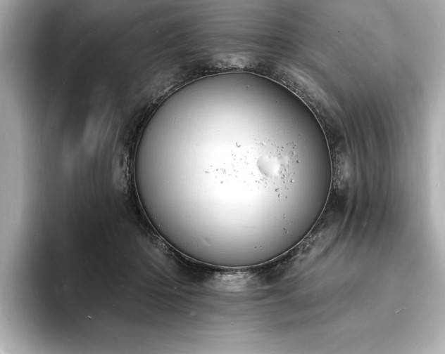X0000093600414200710151224