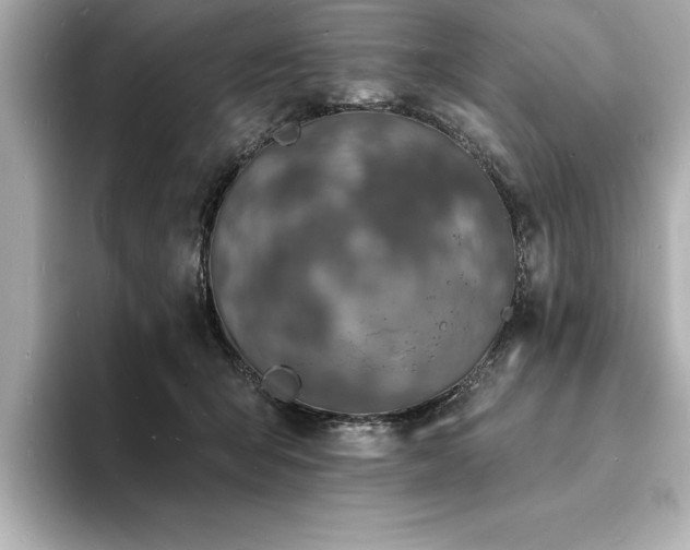 X0000093600415200710151224
