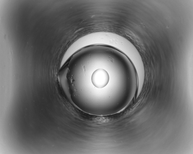 X0000093600421200710151224