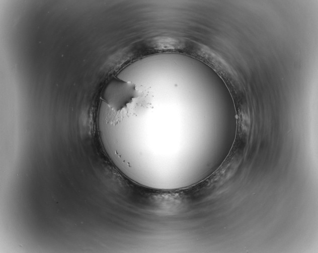 X0000093600422200710151224