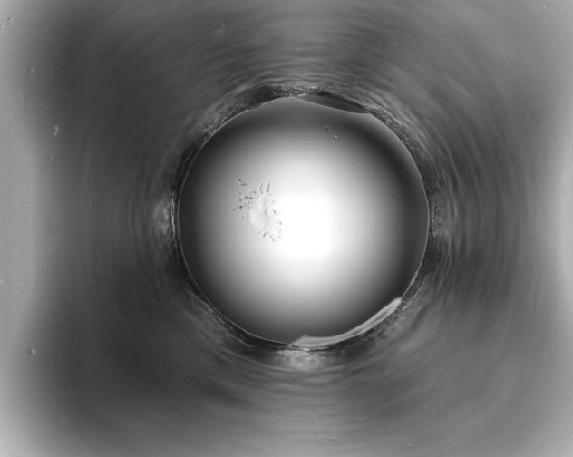 X0000093600425200710151224