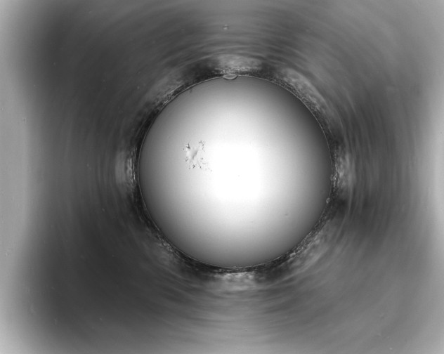 X0000093600426200710151224