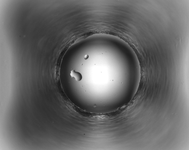 X0000093600428200710151224
