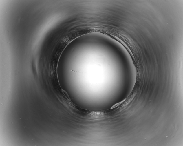 X0000093600429200710151224