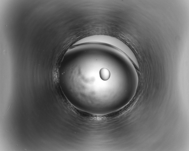 X0000093600432200710151224