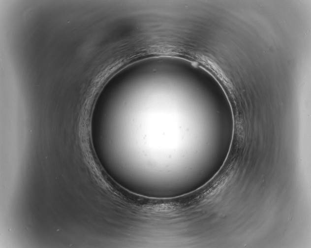 X0000093600433200710151224