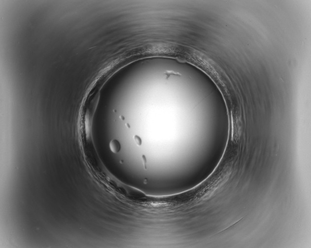X0000093600435200710151224