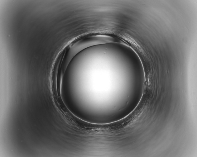 X0000093600436200710151224
