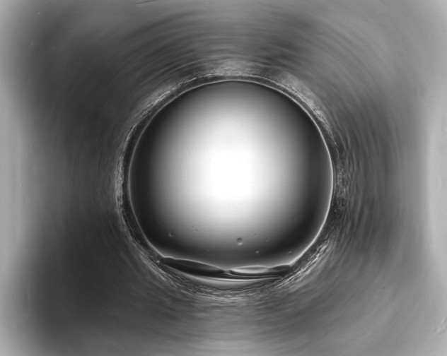 X0000093600437200710151224
