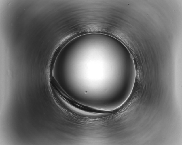 X0000093600438200710151224