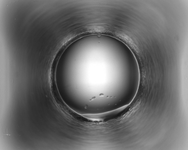 X0000093600439200710151224