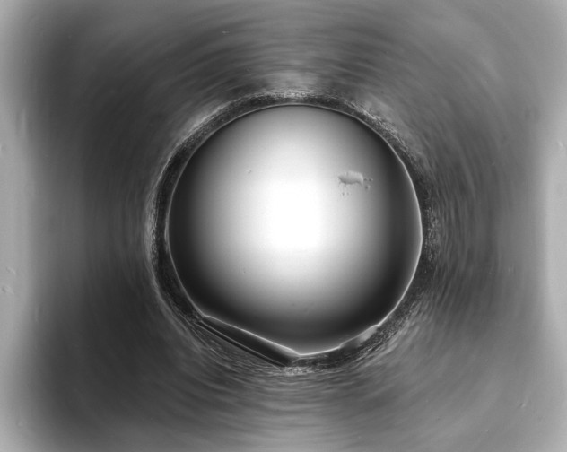 X0000093600440200710151224