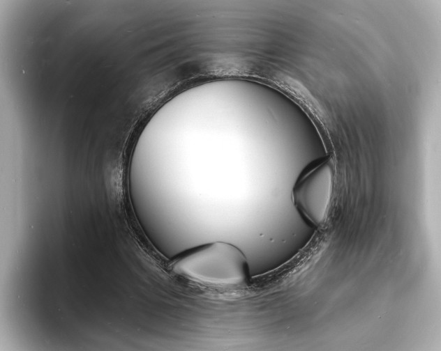 X0000093600441200710151224