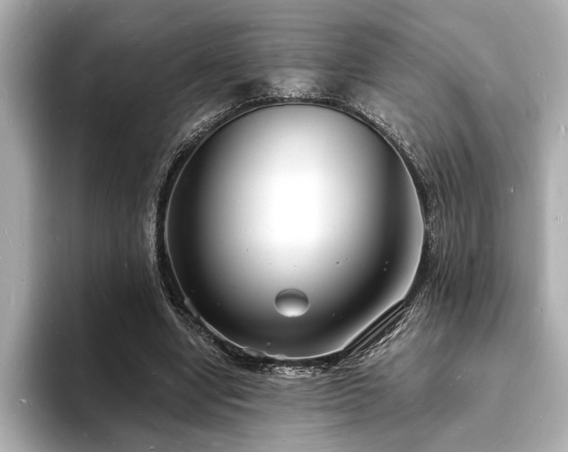 X0000093600442200710151224