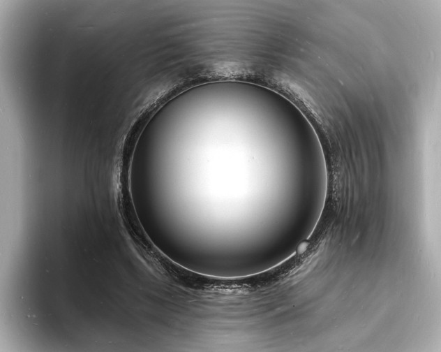 X0000093600443200710151224