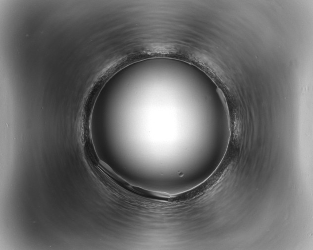 X0000093600444200710151224