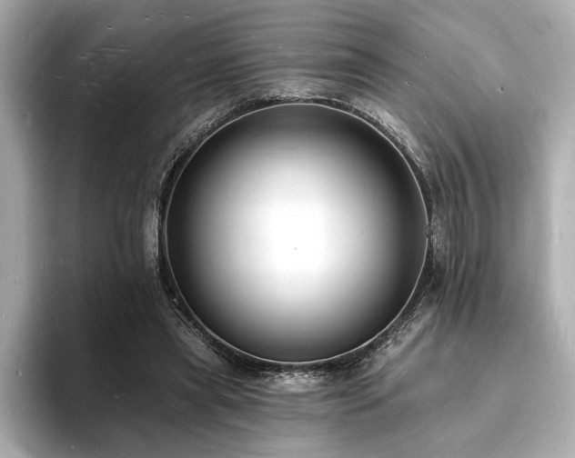 X0000093600445200710151224
