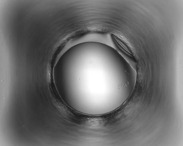 X0000093600446200710151224