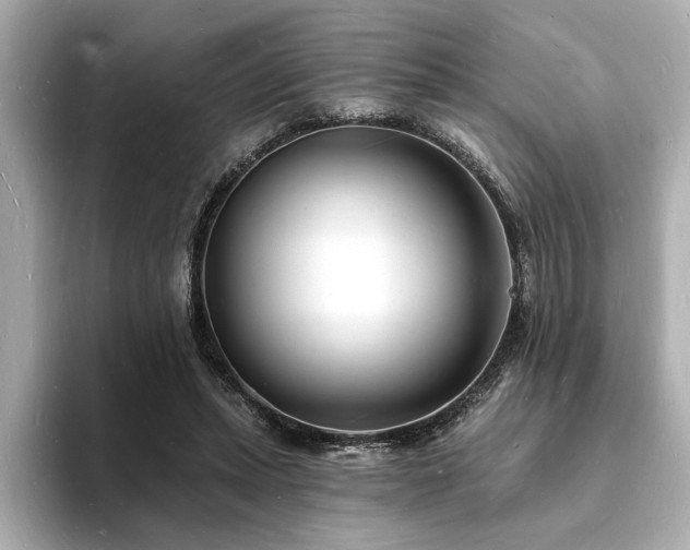 X0000093600447200710151224