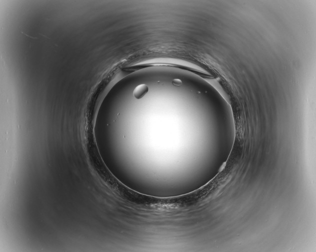 X0000093600448200710151224