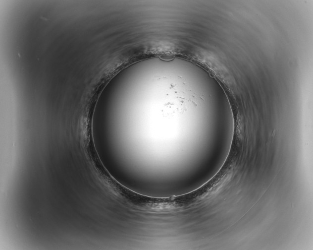 X0000093600449200710151224