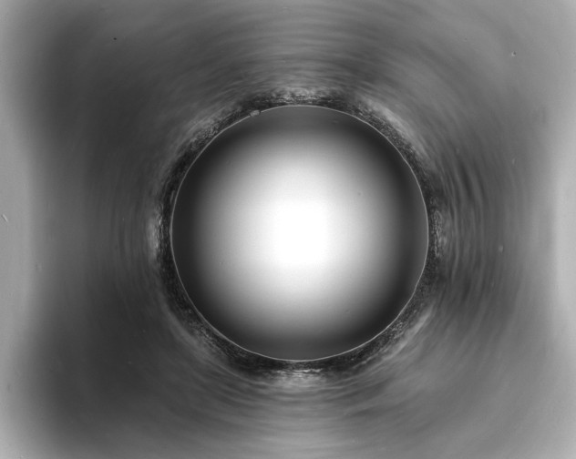 X0000093600451200710151224