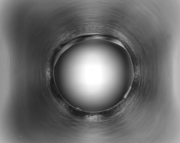 X0000093600452200710151224