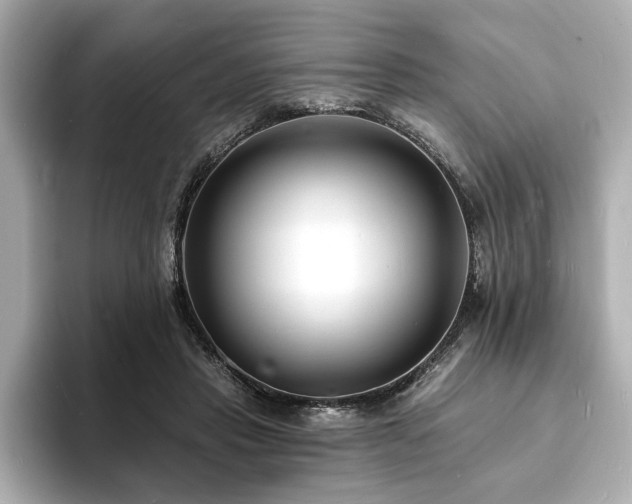 X0000093600453200710151224