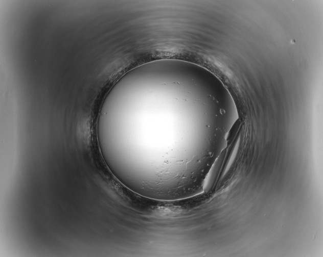 X0000093600455200710151224