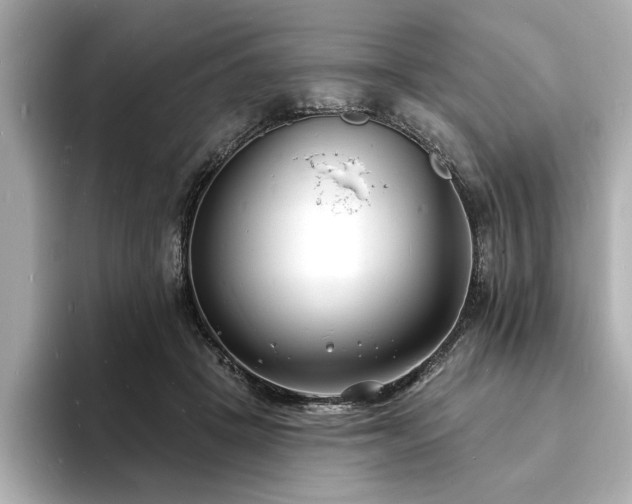 X0000093600457200710151224