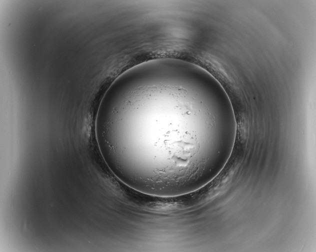 X0000093600458200710151224