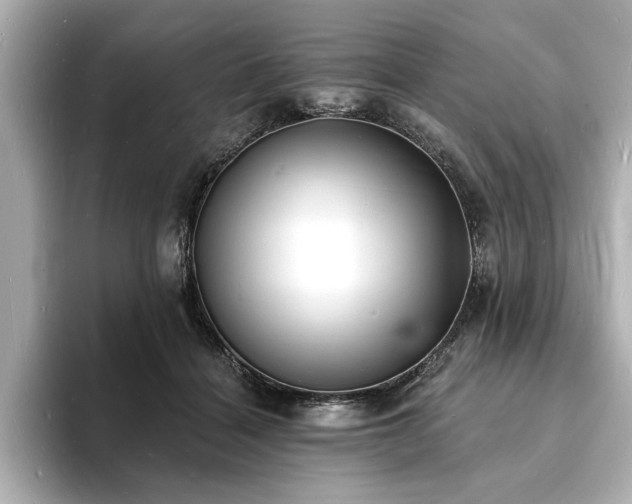 X0000093600460200710151224
