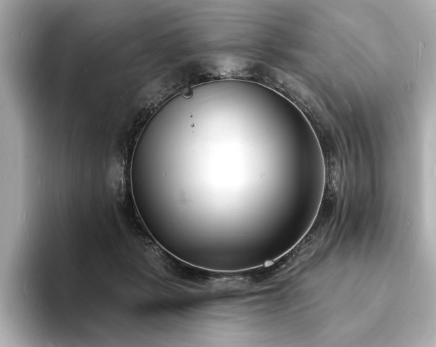 X0000093600461200710151224