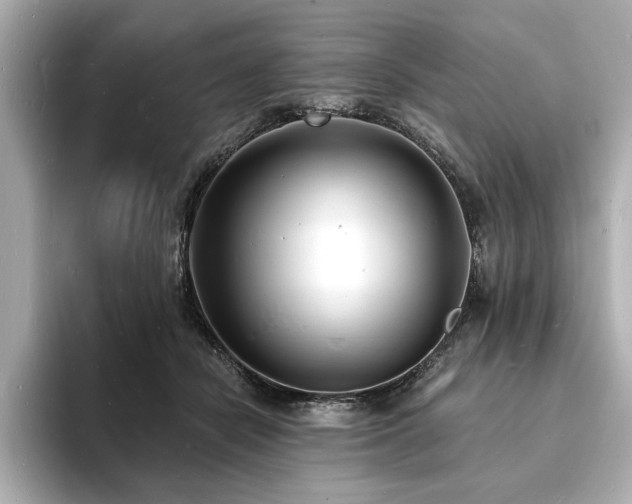 X0000093600462200710151224