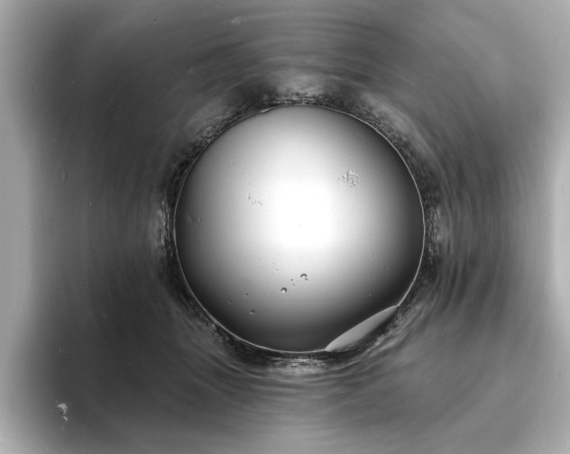 X0000093600463200710151224