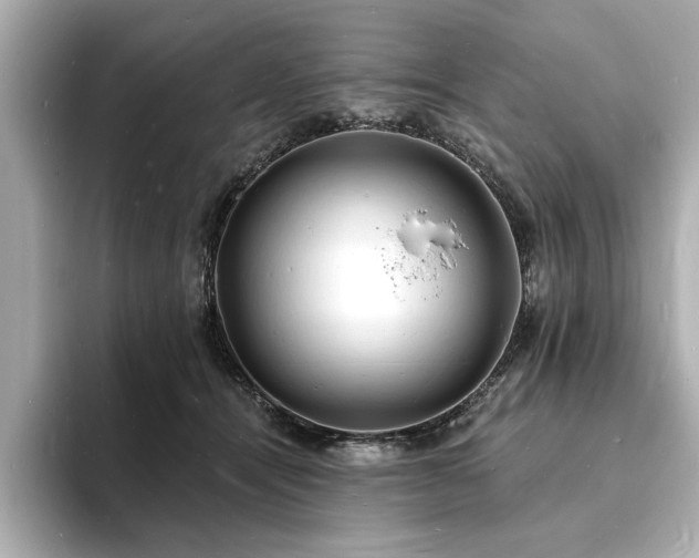 X0000093600464200710151224