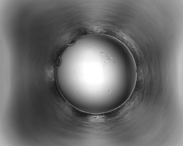 X0000093600465200710151224